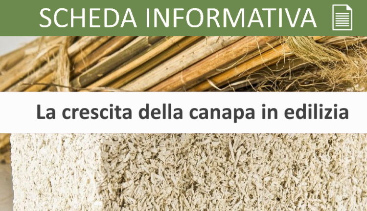 La crescita della canapa in edilizia