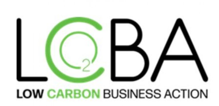 Low Carbon Business Action per le aziende