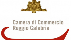Trying “Innovation Awards " 2022: CAM COM Reggio Calabria