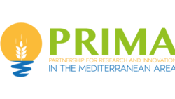 PRIMA (Partnership for Research and Innovation in the Mediterranean Area): open the call 2024