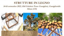Summer School “Progettazione e Realizzazione di Strutture in Legno” – II edizione, 14-16 settembre 2023, Camigliatello Silano